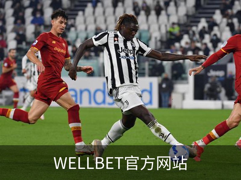 了解WELLBET官方网站